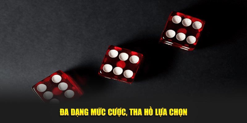 Đa dạng mức cược, tha hồ lựa chọn
