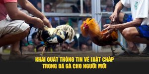 Khái Quát Thông Tin Về Luật Chấp Trong Đá Gà Cho Người Mới