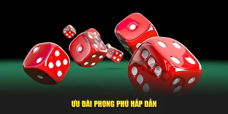 Ưu đãi phong phú hấp dẫn