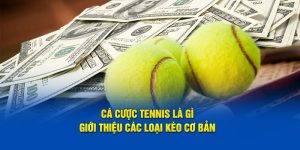 Cá Cược Tennis Là Gì - Giới Thiệu Các Loại Kèo Cơ Bản