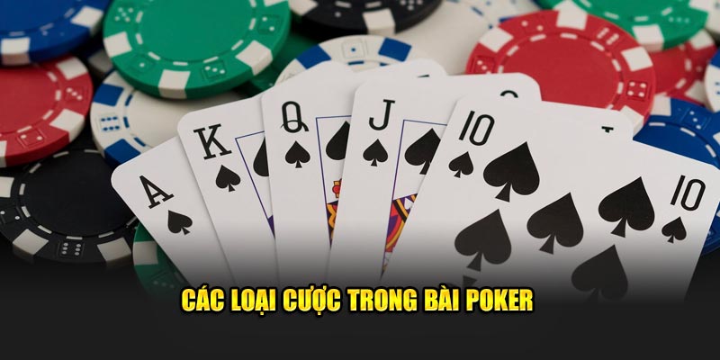 Các loại cược trong bài Poker