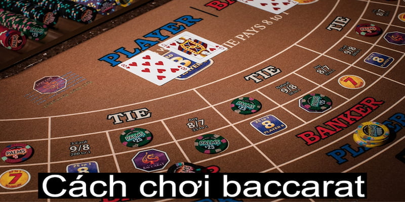 So 3 cửa cược chính là mọi người có thể xuống tiền là Tie, Banker, Player