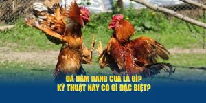 Đá Đâm Hang Cua Là Gì? Kỹ Thuật Này Có Gì Đặc Biệt?