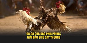 Đá Gà Cựa Dao Philippines - Giải Đấu Siêu Sát Thương