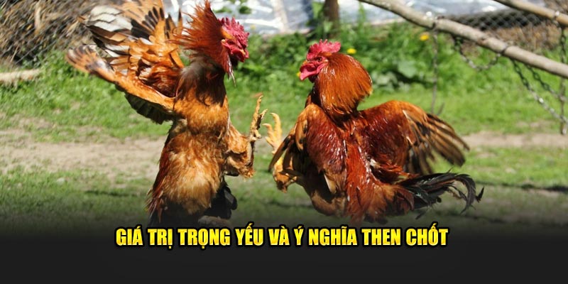Giá trị trọng yếu và ý nghĩa then chốt