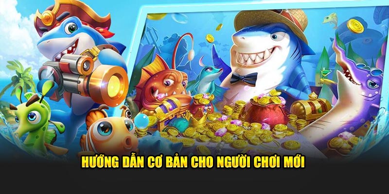 hướng dẫn cơ bản cho người mới