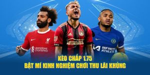 Kèo Chấp 1.75 - Bật Mí Kinh Nghiệm Chơi Thu Lãi Khủng