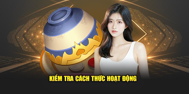 Kiểm tra cách thức hoạt động 