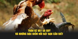 Thần Kê Vảy Gà Quý Và Những Đặc Điểm Nổi Bật Bạn Cần Biết