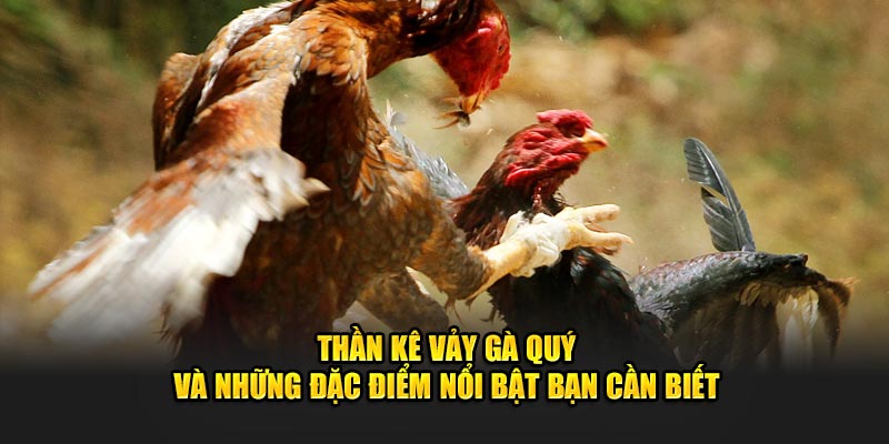 Thần Kê Vảy Gà Quý Và Những Đặc Điểm Nổi Bật Bạn Cần Biết