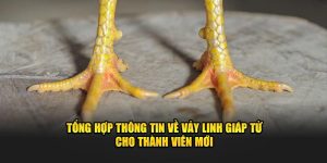 Tổng Hợp Thông Tin Về Vảy Linh Giáp Tử Cho Thành Viên Mới