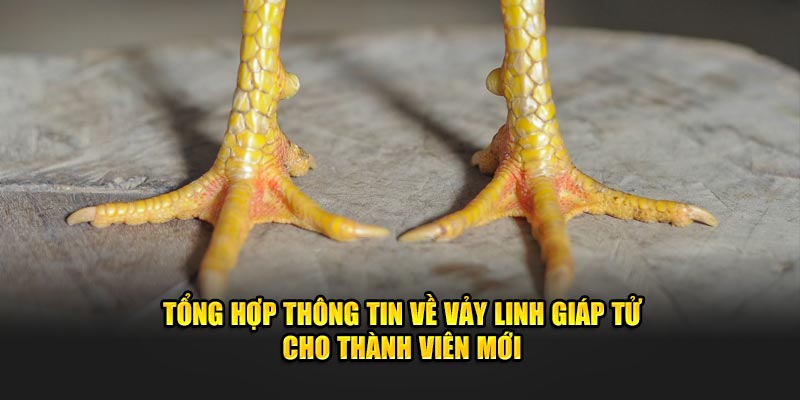 Tổng Hợp Thông Tin Về Vảy Linh Giáp Tử Cho Thành Viên Mới